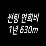 썬팅 연회비 1년 630m